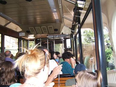 ���m���[��