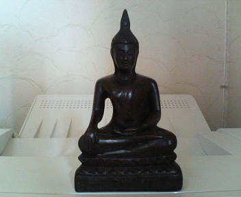 ���n�Ŕ�����������