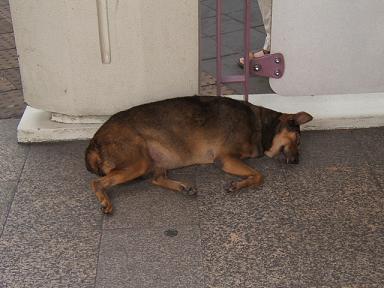 �^�C�h�b�O�P