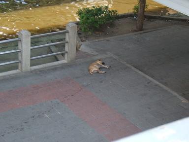 �^�C�h�b�O�Q