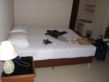 �z�e���̕���