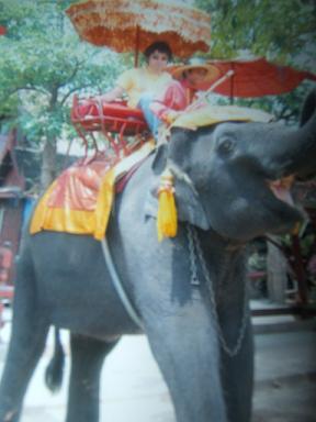 �̂��������